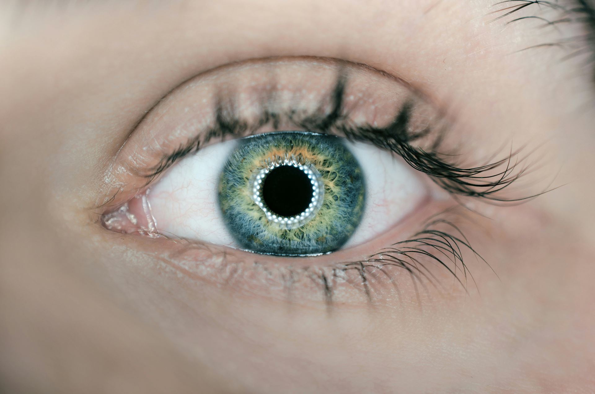 EYE